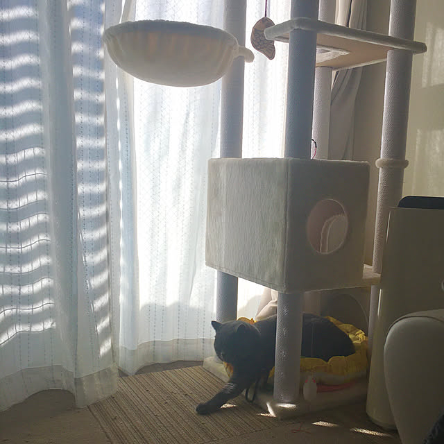 kittyさんの実例写真