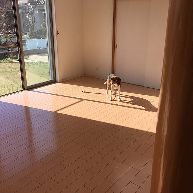 Chinaさんの実例写真