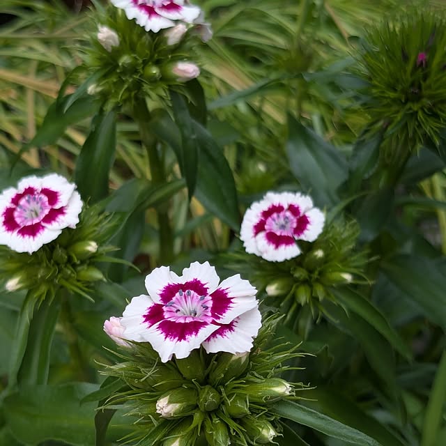 kazuさんの実例写真