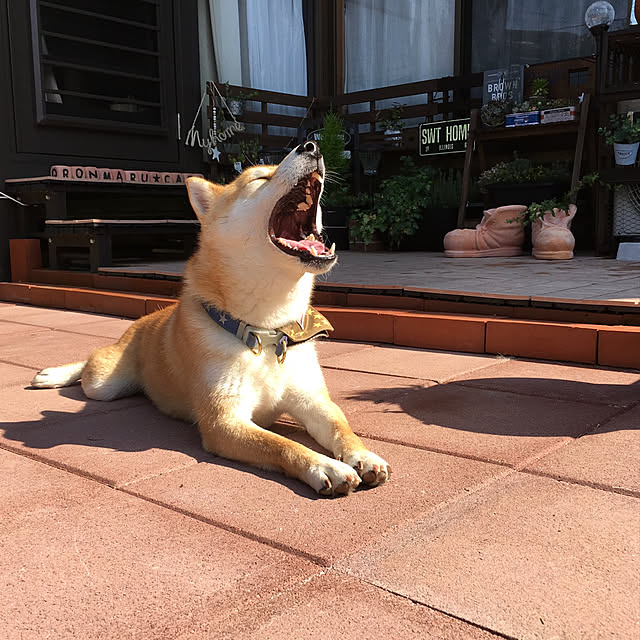 ronmaruさんの実例写真