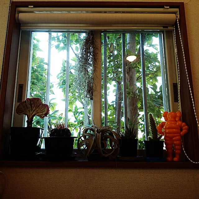 Hideakinakataniさんの実例写真