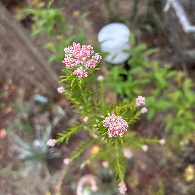 ayayayayaさんの部屋