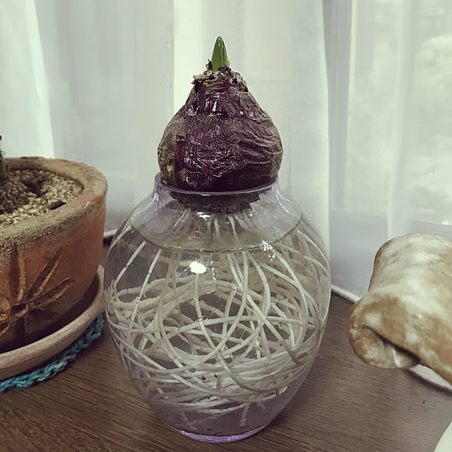 enchiさんの実例写真