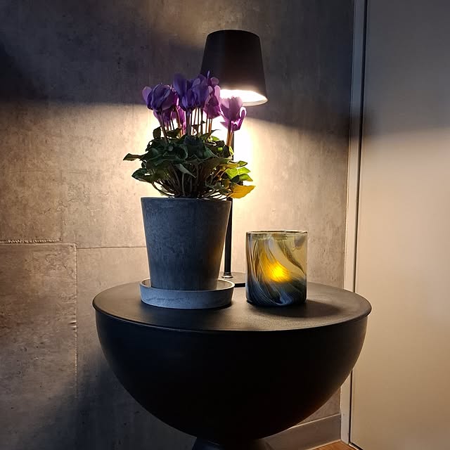 noaさんの実例写真