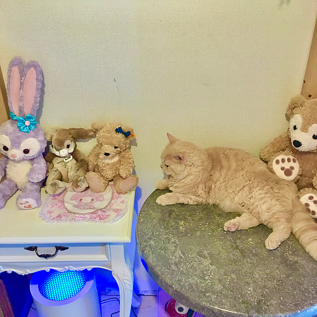 naokoさんの部屋