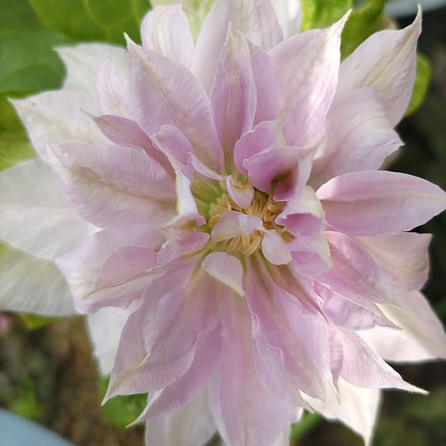 salacocoさんの実例写真