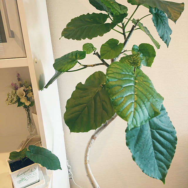 sakamo0829さんの実例写真
