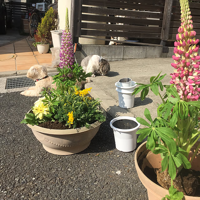 tenmaruさんの実例写真