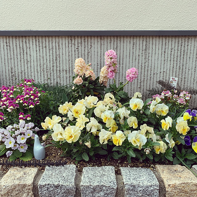 AINIさんの部屋