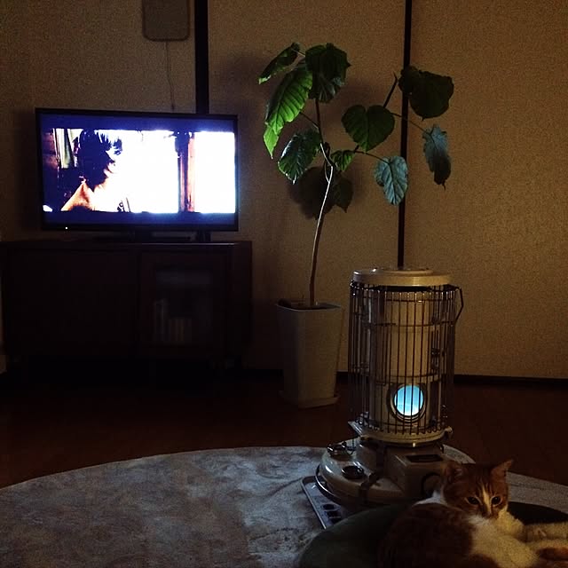 yoko.329さんの実例写真