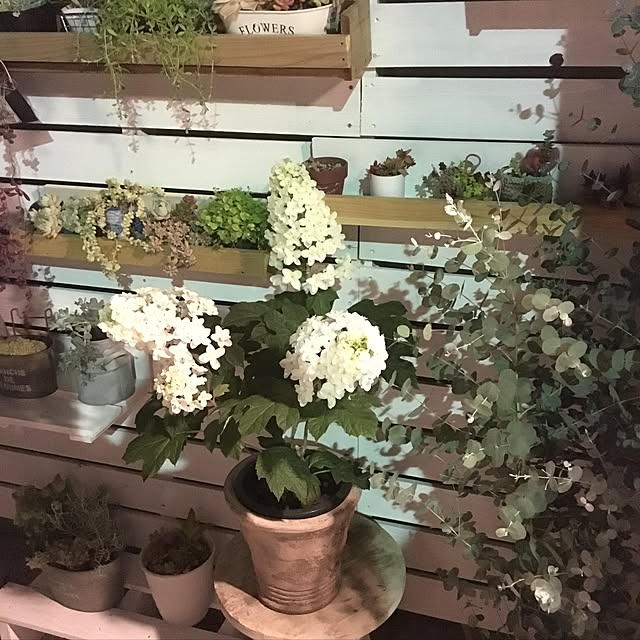 実例写真