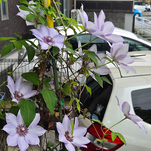 mitsuyama3136さんの部屋