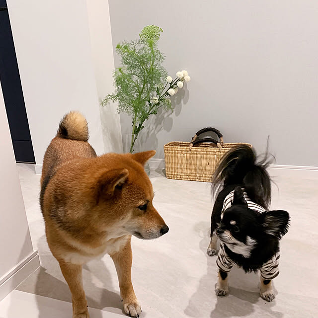 mtkさんの実例写真