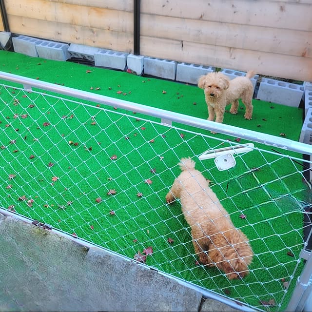 cherrycherryさんの部屋