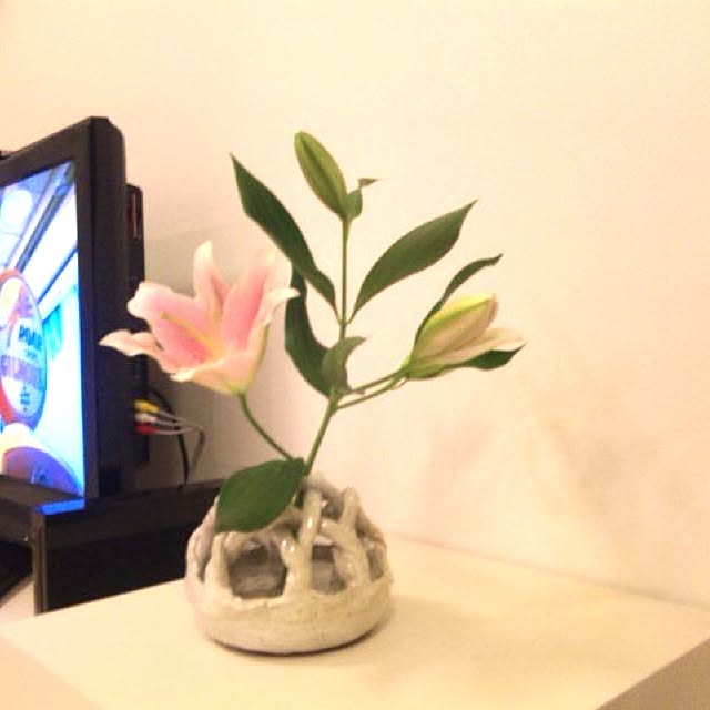 ISOさんの実例写真
