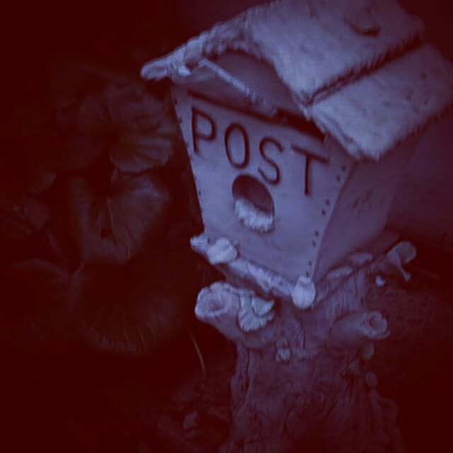 ponyotarothzさんの実例写真