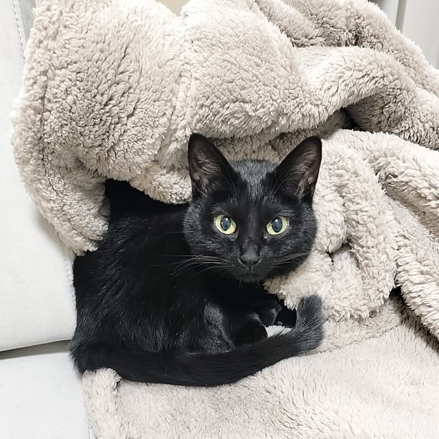 sakuraさんの部屋