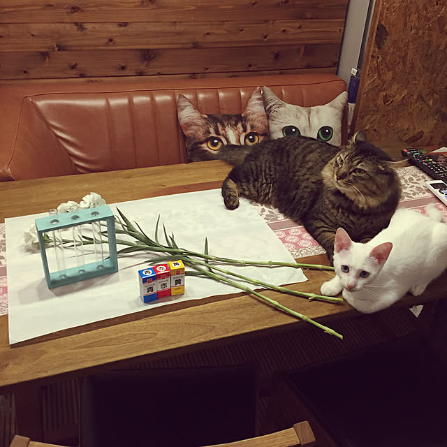 oniyomeさんの実例写真