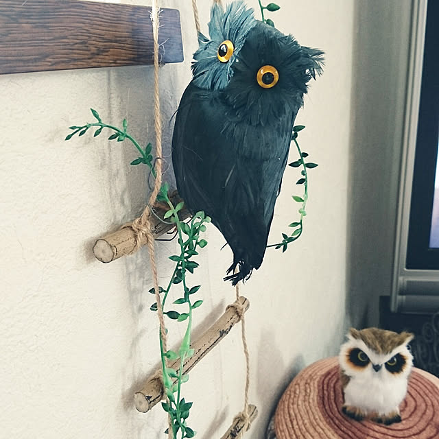 uchizukonyanさんの実例写真