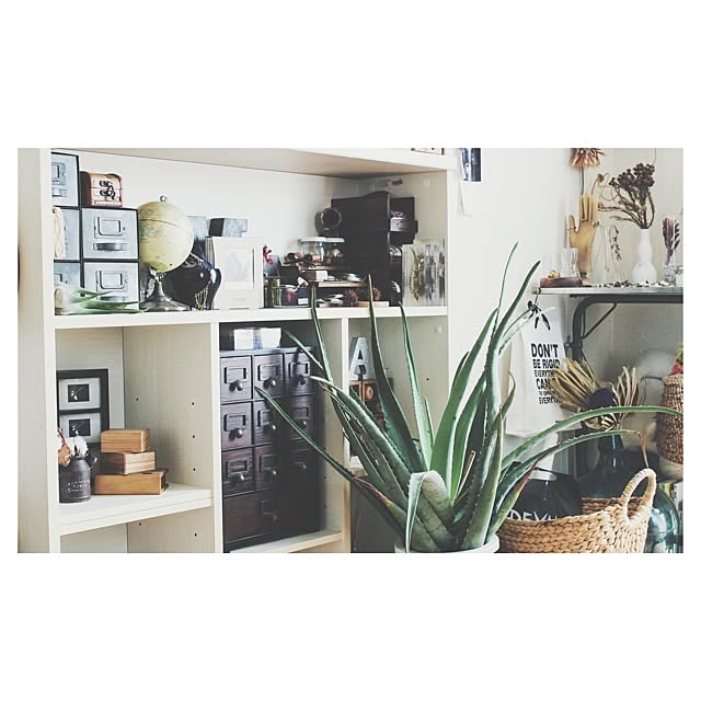 MMさんの実例写真