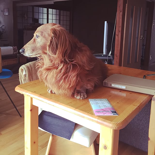 maruさんの実例写真