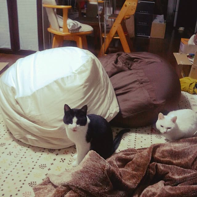 snowさんの実例写真