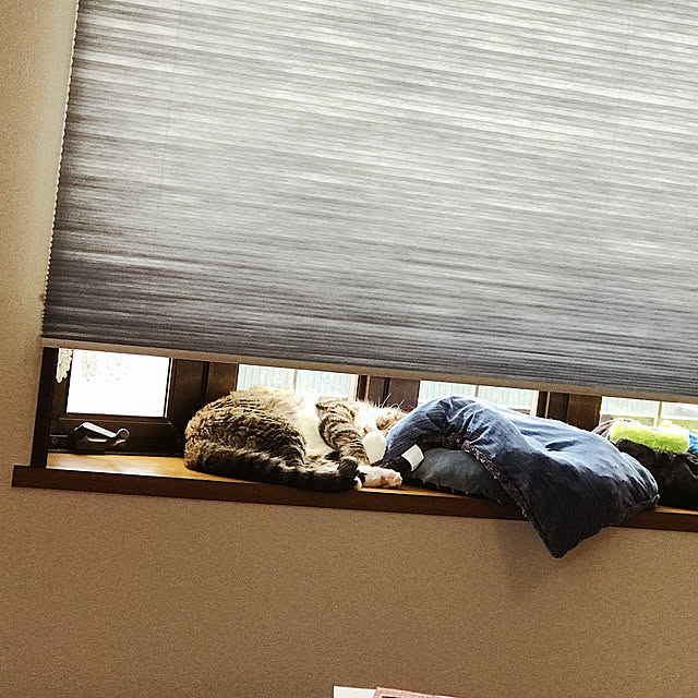 chocochyyさんの実例写真