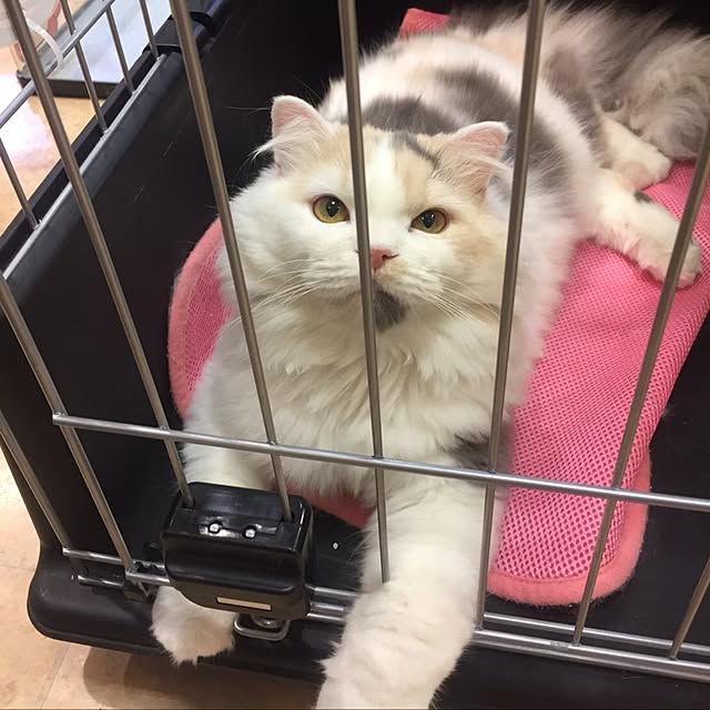 keibooさんの実例写真