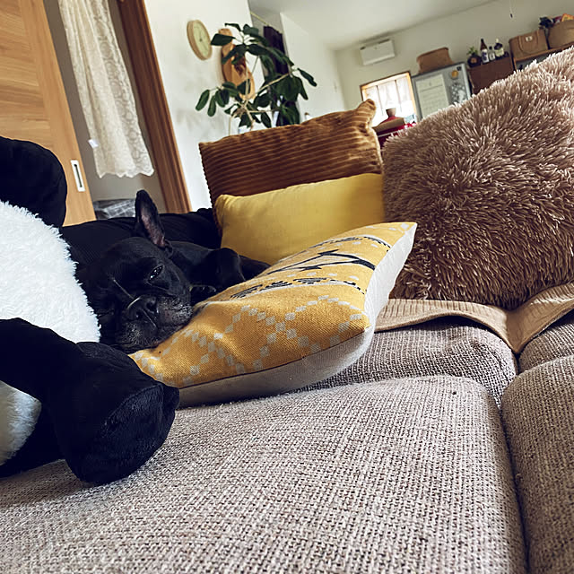kotaroさんの部屋
