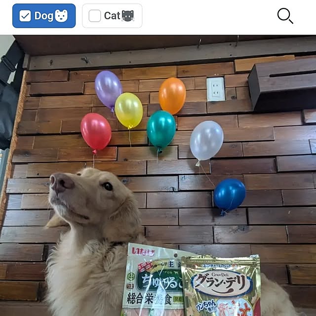 ciiiさんの実例写真