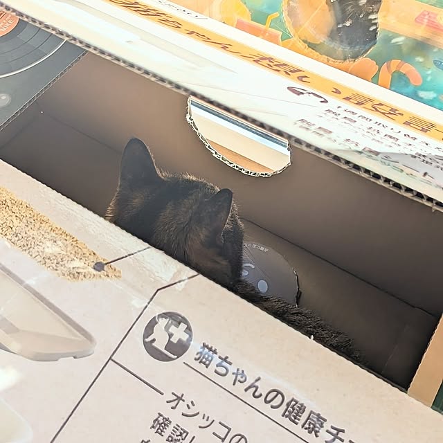 mamimamipockyさんの部屋