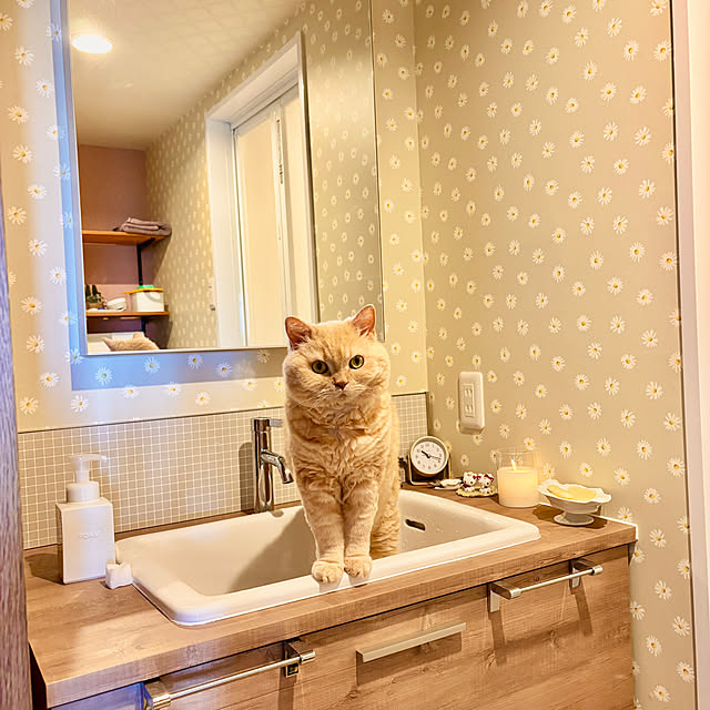 naokoさんの実例写真
