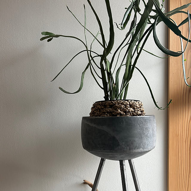 hira_muji_mihiさんの実例写真