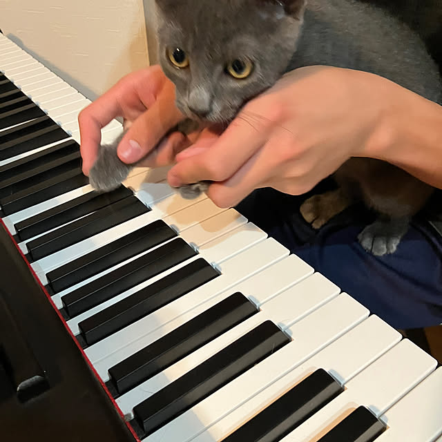 nekoさんの実例写真