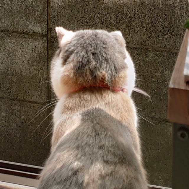 fukuさんの実例写真