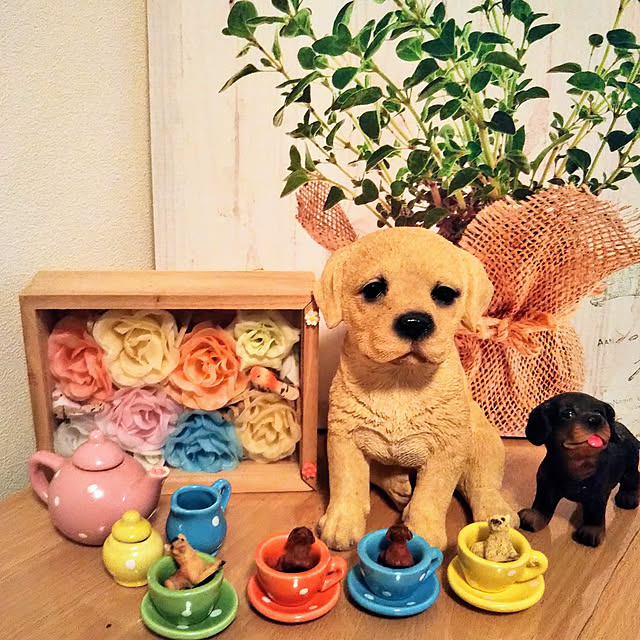 Tirorinさんの実例写真