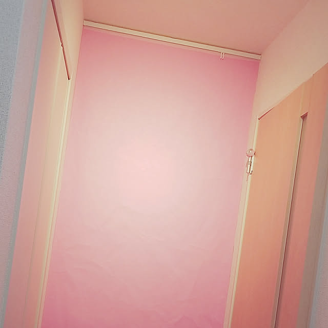 haniさんの実例写真