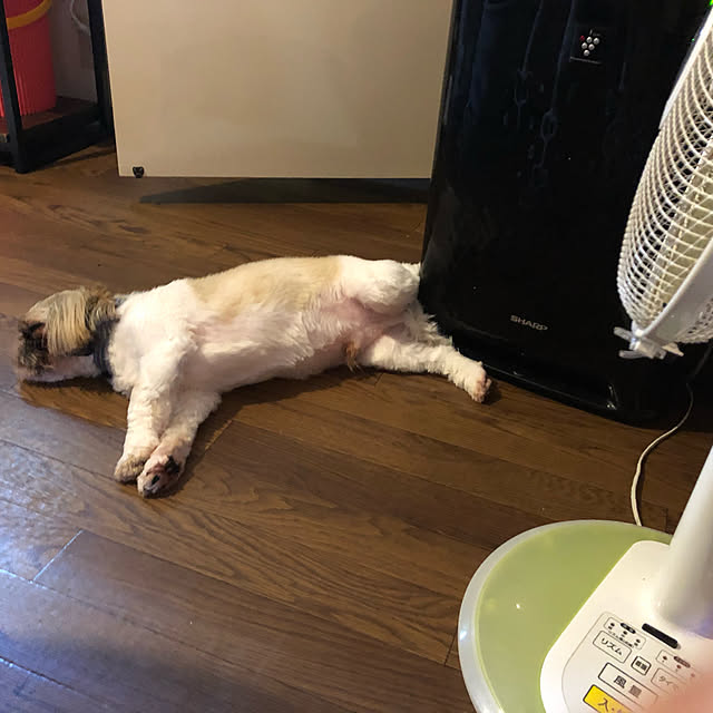 erinyanさんの部屋