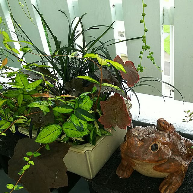 PRUNELLEさんの実例写真