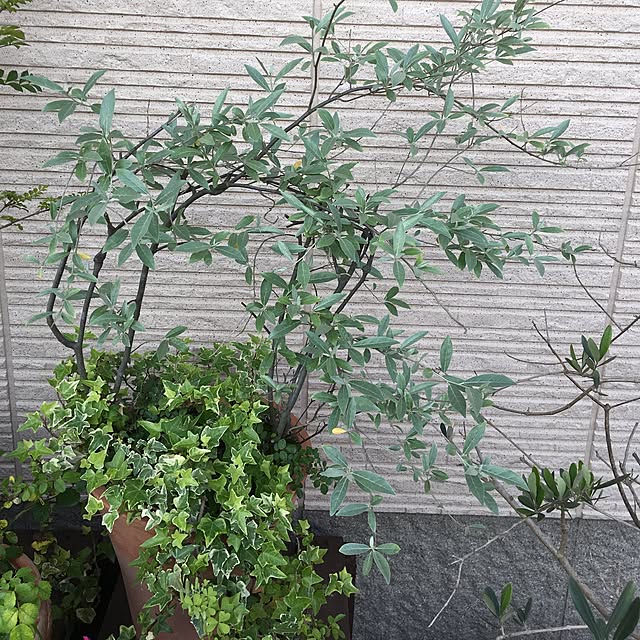 sanw2225719さんの実例写真