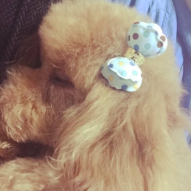 mam1231さんの実例写真
