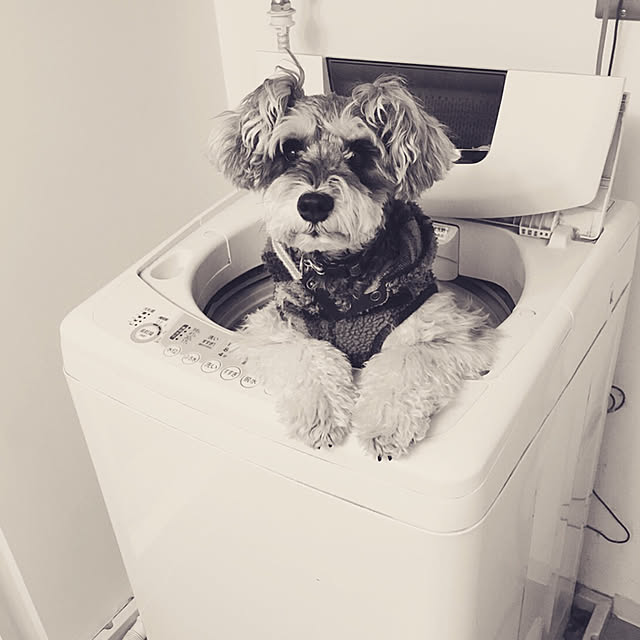 Youkiさんの実例写真