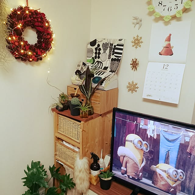 部屋全体/多肉植物/リサラーソン/クリスマス/Xmas...などのインテリア実例 - 2015-12-03 16:14:49
