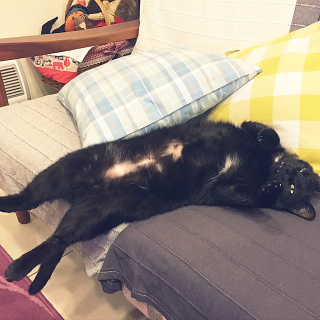 Chia-lingさんの実例写真