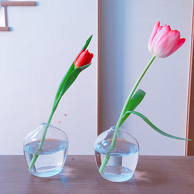 naeさんの実例写真
