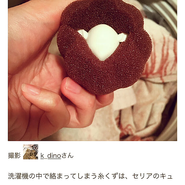 k_dinoさんの実例写真