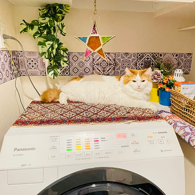 miumiu.303さんの実例写真