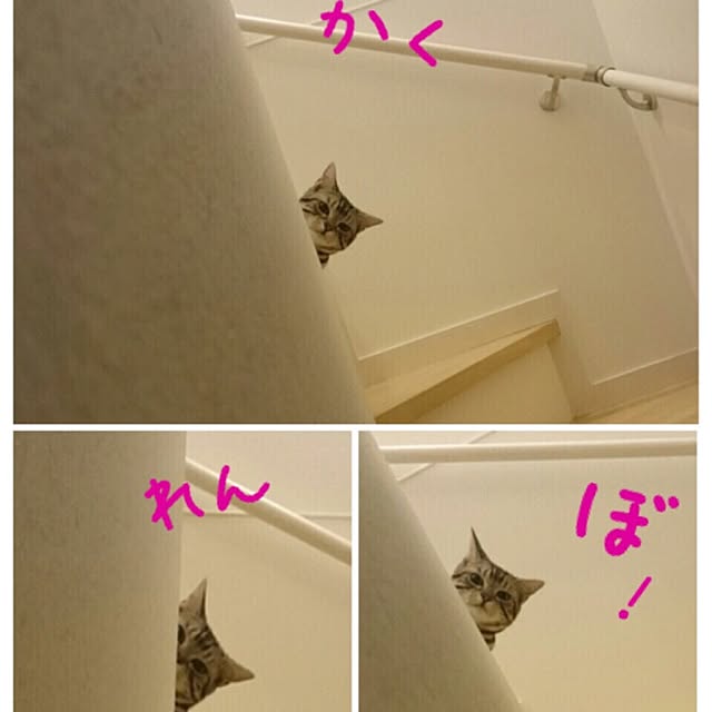 maripoさんの実例写真
