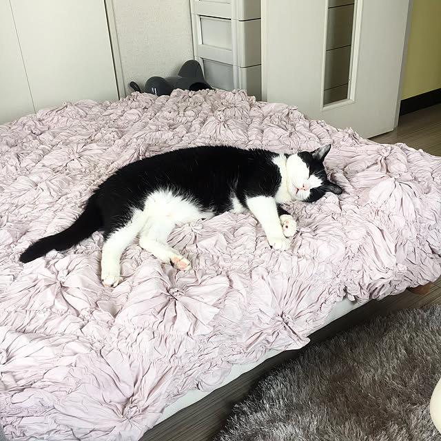 R1nAさんの実例写真