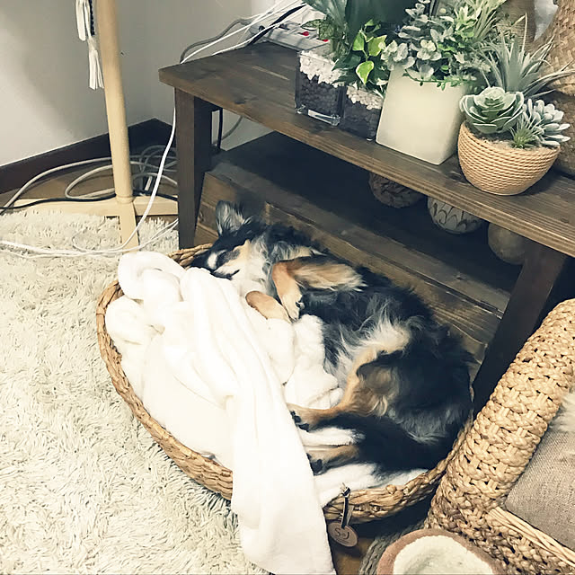 b.e.a.c.h...さんの実例写真